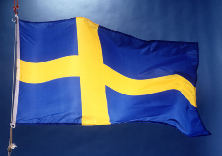 Samengroeiing trui af hebben t Leukste van 't internet: Zweedse vlag